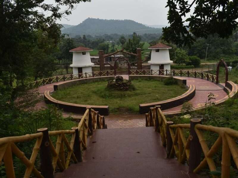 Fossil Park, Mandro, Sahibganj