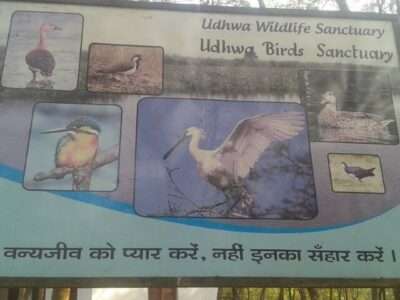 Udhwa Lake Bird Sanctuary